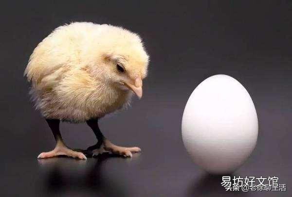 先有的鸡还是先有的蛋?这个问题有什么含义?