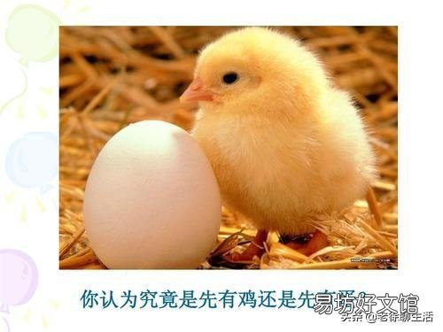 先有的鸡还是先有的蛋?这个问题有什么含义?