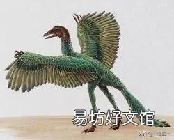 先有的鸡还是先有的蛋?这个问题有什么含义?