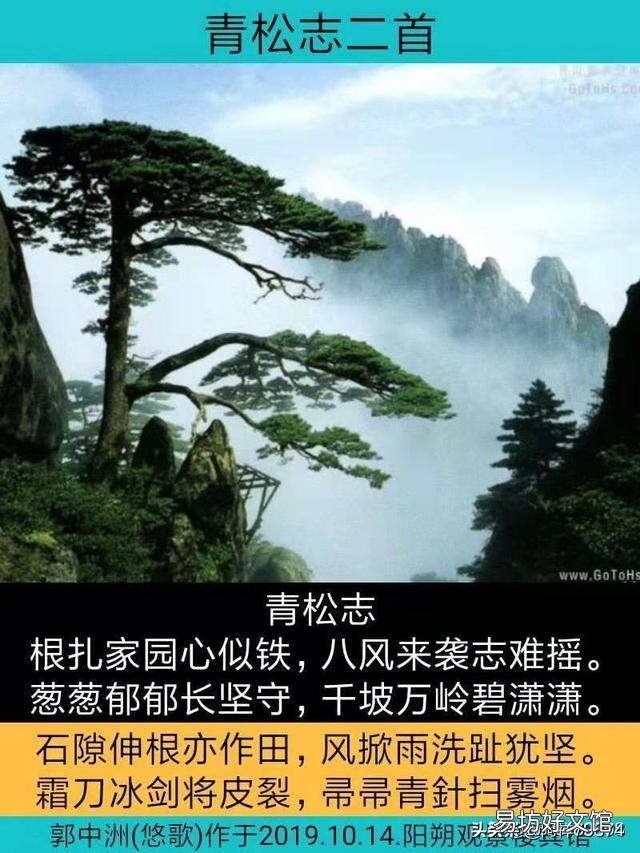 请大神帮忙看图怎么为《青松志》和一首诗?