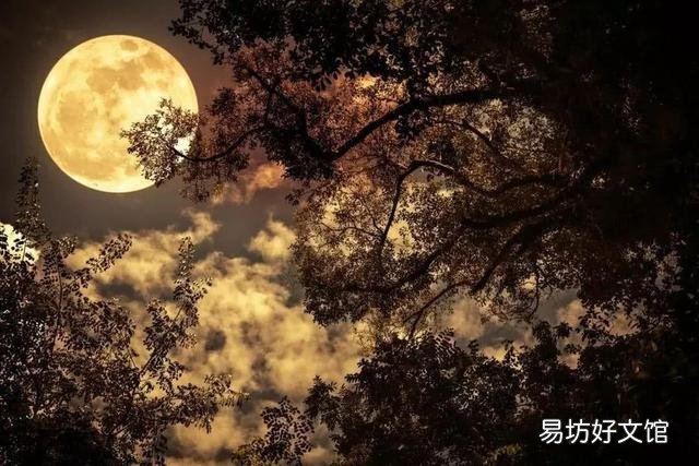 大家来帮以《银猴戏虎》为题作诗一首？