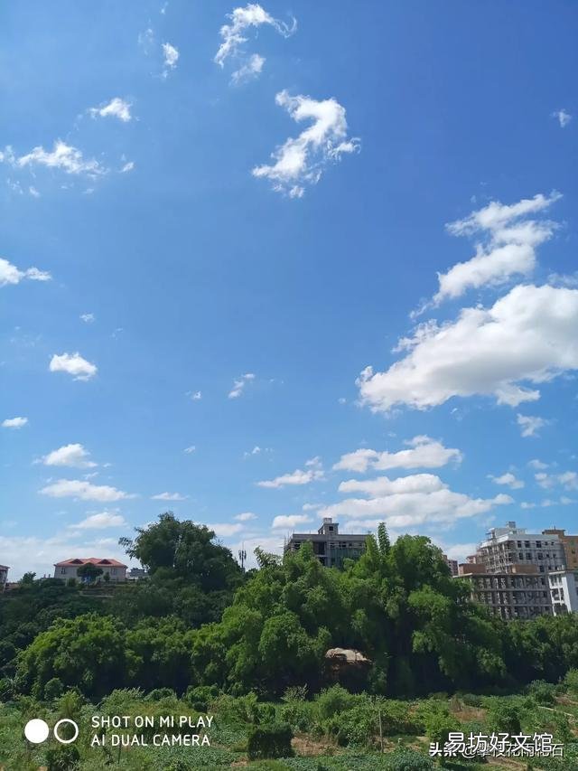 轻采桂花而换酒；喜吟菊韵以知秋。请大神帮忙怎么编成一首以重阳节为题的诗？