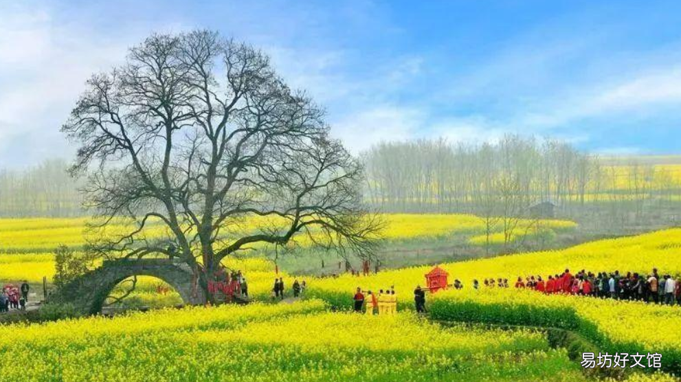 清明节的十大习俗以及禁忌 清明节的习俗有哪些