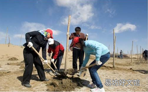 清明节的十大习俗以及禁忌 清明节的习俗有哪些