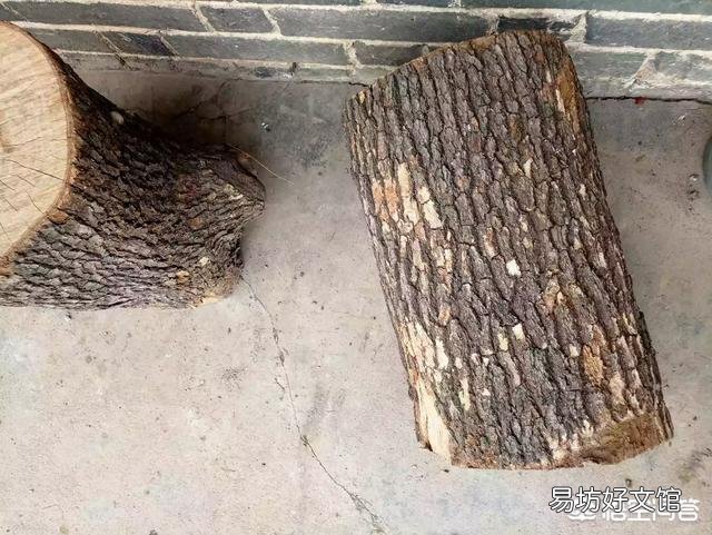 农村俗语说∶夏不坐木，冬不坐石，其中有什么道理？