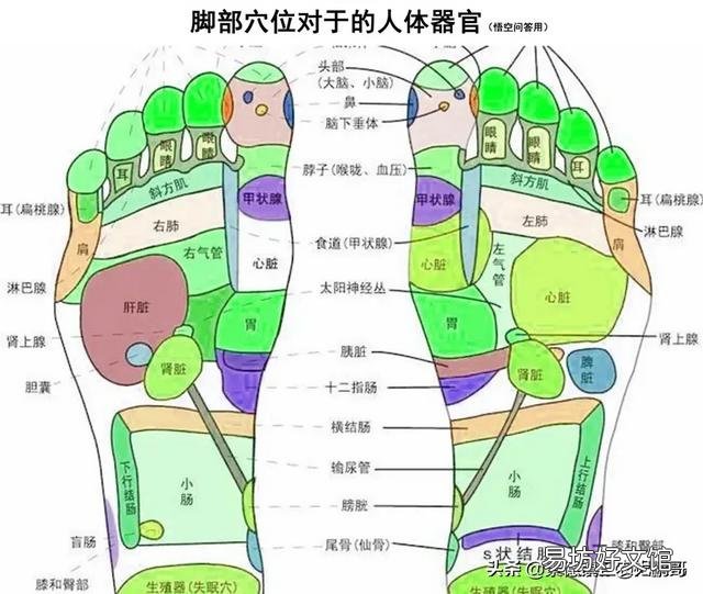 农村老话说：“人老脚先老”，有何道理？