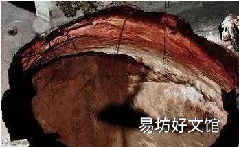 世间十大真实灵异事件至今无解 世界灵异事件