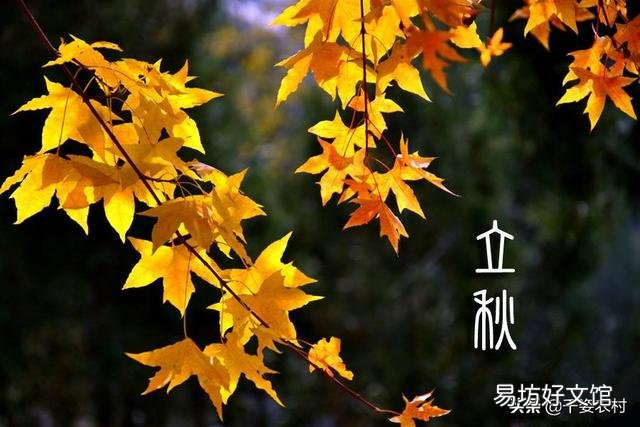 俗话说“早立秋凉飕飕，晚立秋热死牛”，今年到底是早立秋还是晚立秋？