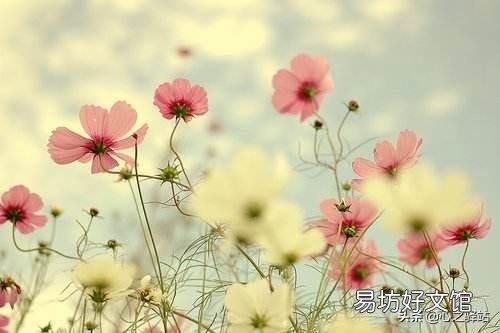 喜欢的人发了一句,陌上花开,可缓缓归矣什么意思?
