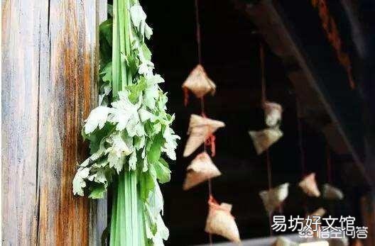 为什么有的地方端午节叫做端阳节?习俗是送扇子,采荷叶,吃包子?