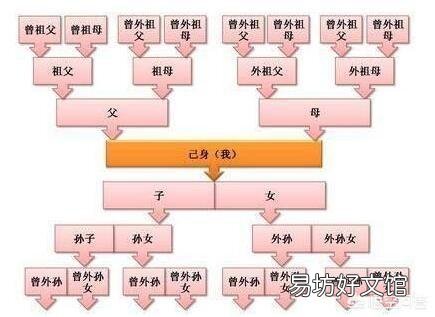 历史上灭九族和夷九族有什么区别？