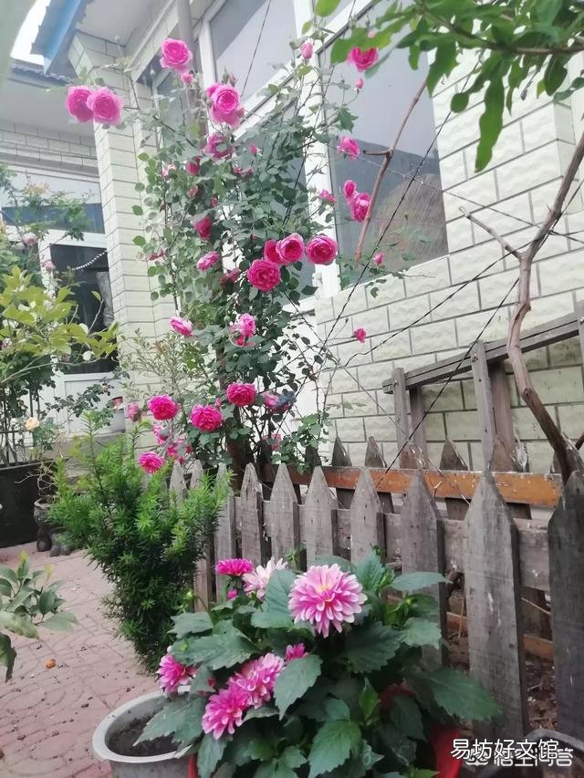 为什么人们总会说:“看景不如听景”?