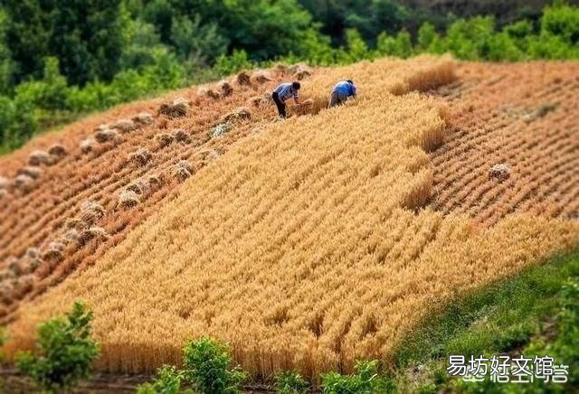 农村俗语：“男怕五月，女怕腊月”说的是什么意思呢？有道理吗？