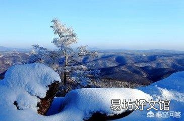 上联：古月今生，今生古月，月有古今人非人；下联如何对？