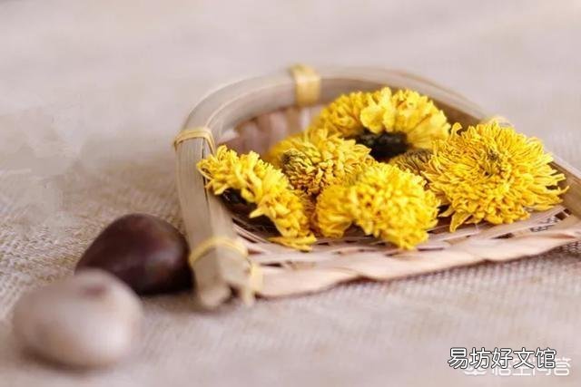 贡菊、杭白菊和胎菊有什么区别,功效一样吗?
