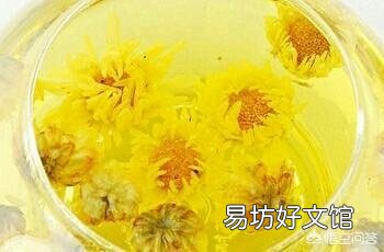 贡菊、杭白菊和胎菊有什么区别,功效一样吗?