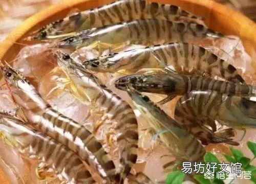深圳有什么特产？