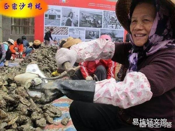 深圳有什么特产？