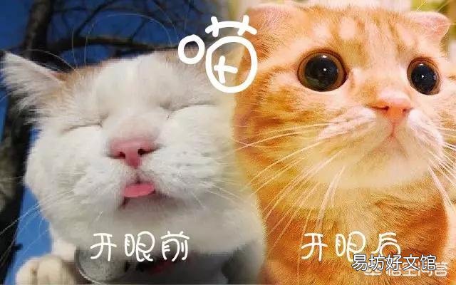 怎样让眼睛变大？