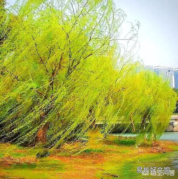 为什么一到清明节就会下雨呢?