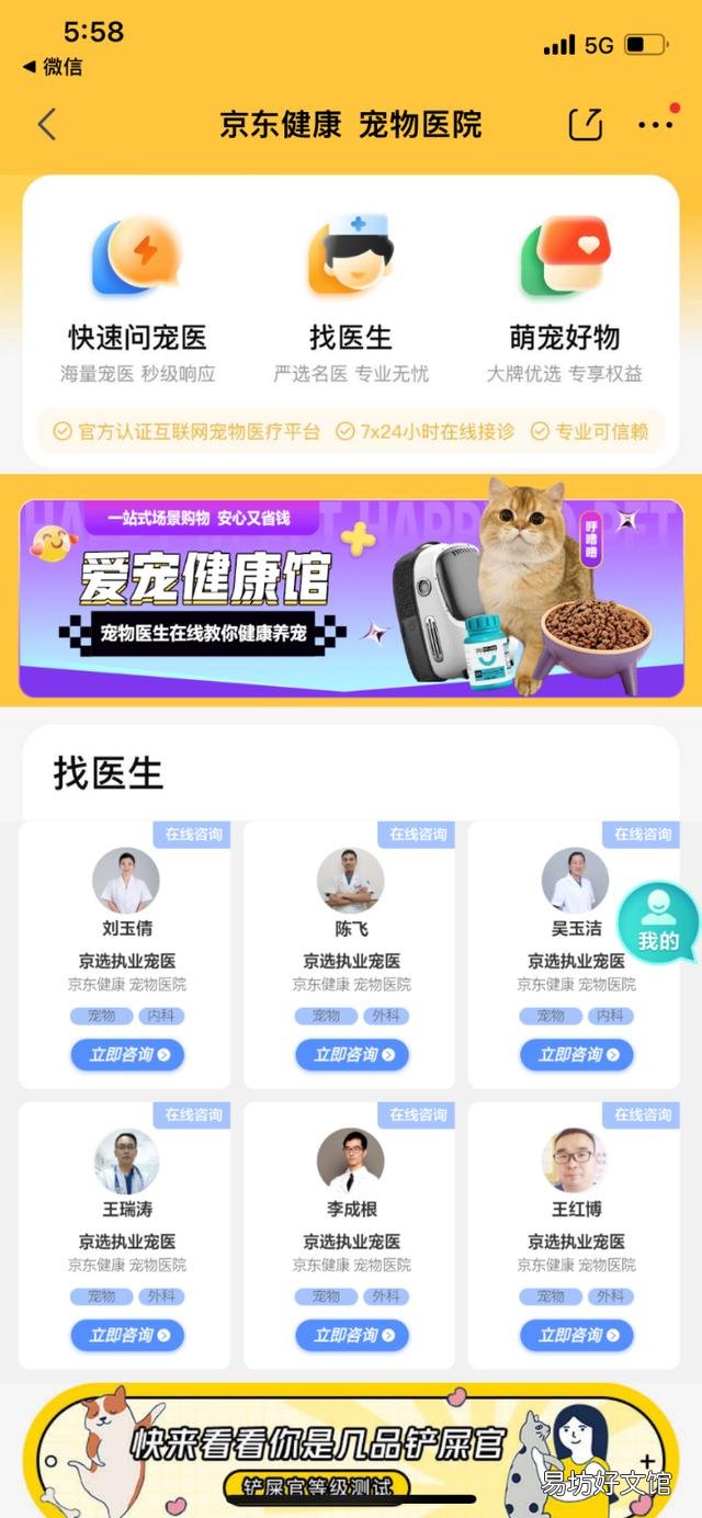上海宠物(上海宠物殡葬服务)