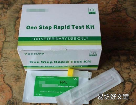 正规猫舍官网(正规猫舍官网猫价格)