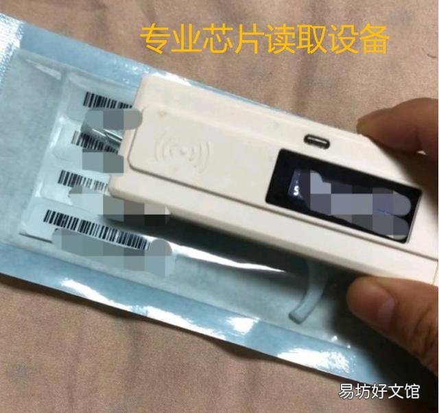 正规猫舍官网(正规猫舍官网猫价格)