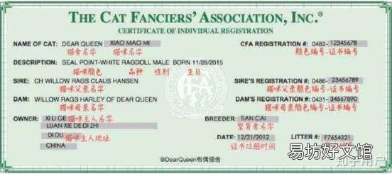 正规猫舍官网(正规猫舍官网猫价格)