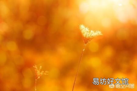 为什么觉得无论怎样旅游都索然无味?