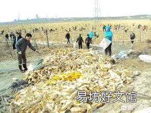上联:行云流水天上月,夜空真美,下联怎么对?