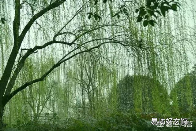 上联:行云流水天上月,夜空真美,下联怎么对?