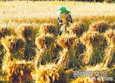 上联:行云流水天上月,夜空真美,下联怎么对?