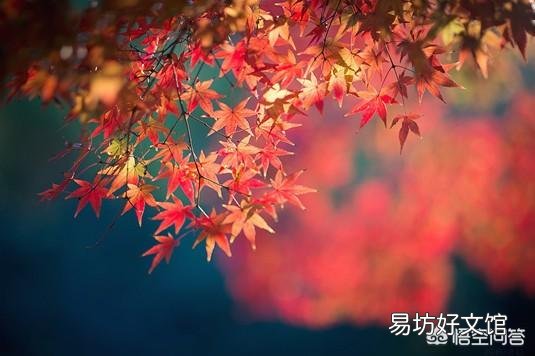 上联:闲坐窗前观日落,落日映天红,如何对下联?