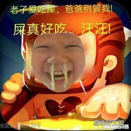 有哪些抄袭了国外游戏的国产游戏?
