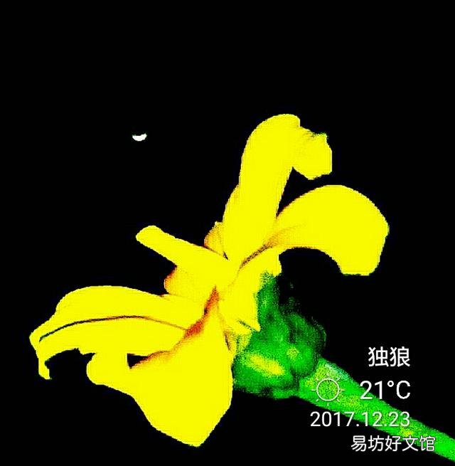 感觉最近关于大麦网的信息变少了,是什么原因呢?