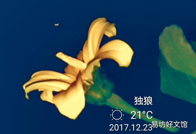 感觉最近关于大麦网的信息变少了,是什么原因呢?