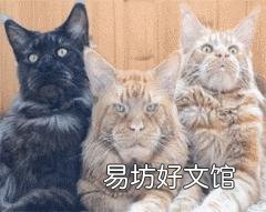 冬天身上靜電特別多，老被電麻，有什么東西可去除？