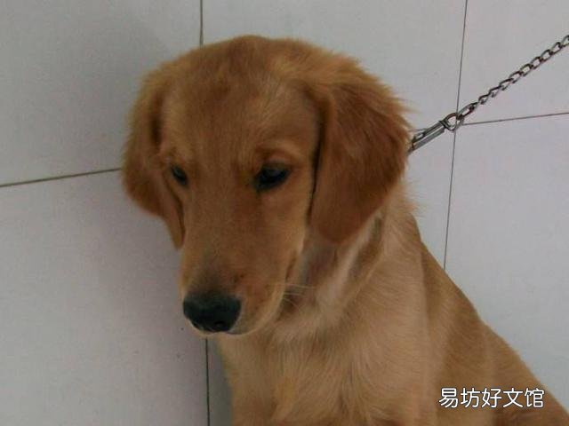 冬天身上靜電特別多，老被電麻，有什么東西可去除？