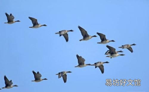 上联:翻书看字识文,才知黄金贵,如何对下联?