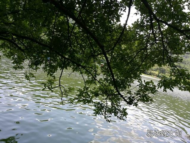 上联:“身上无病,心上无事,春鸟便是笙歌”,下联如何对?