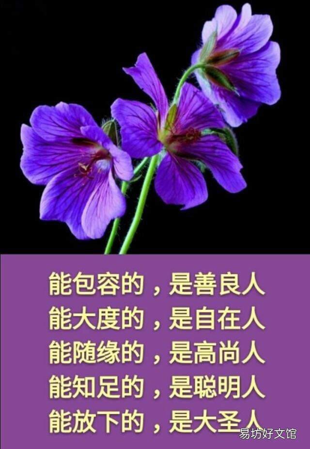 上联:“身上无病,心上无事,春鸟便是笙歌”,下联如何对?