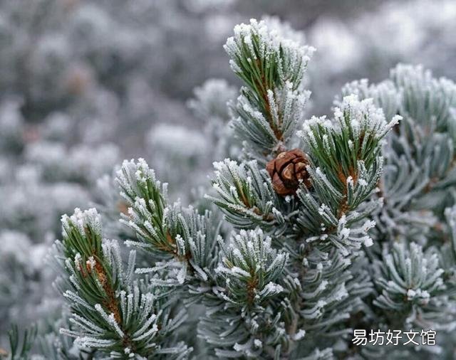 上联:秋来风雨几度凉,怎么对下联?