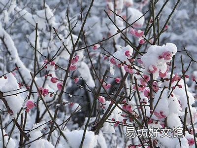 上联:秋来风雨几度凉,怎么对下联?