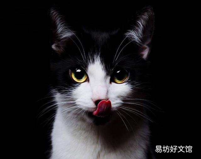 饥鸡盗稻童桐打。求下联？
