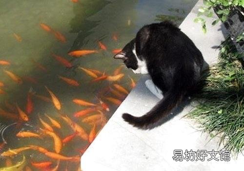 饥鸡盗稻童桐打。求下联？
