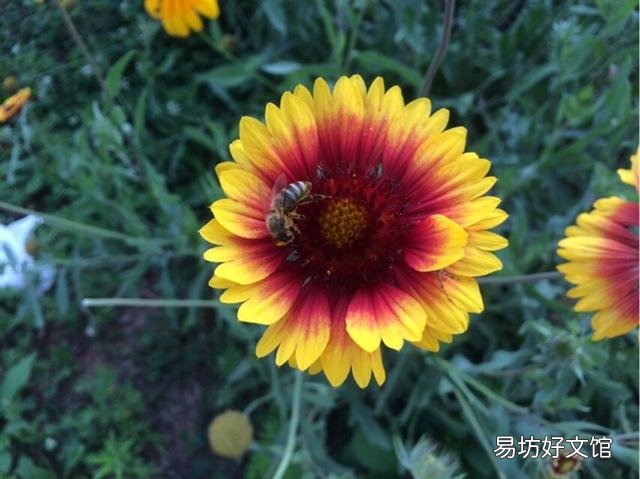 上联:大口内有三小口，一家内外有四口?请答下联？