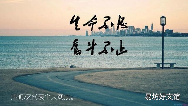 养蜂调脾有什么技术要求?