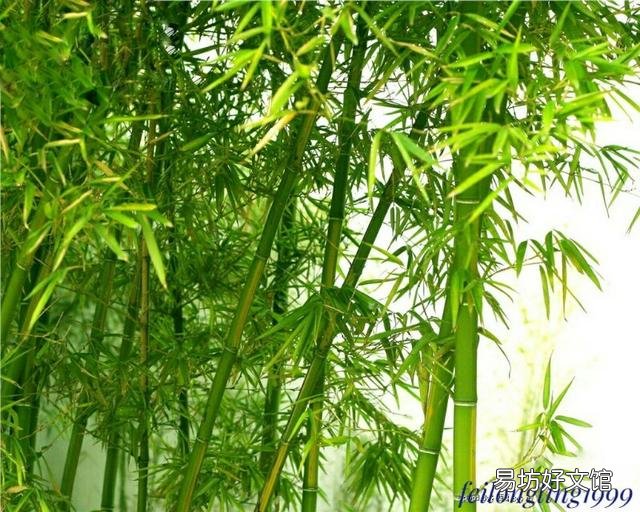 上联:进一寸有进一寸的欢喜,下联如何对?