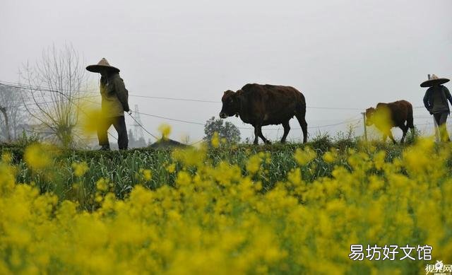 上联:进一寸有进一寸的欢喜,下联如何对?