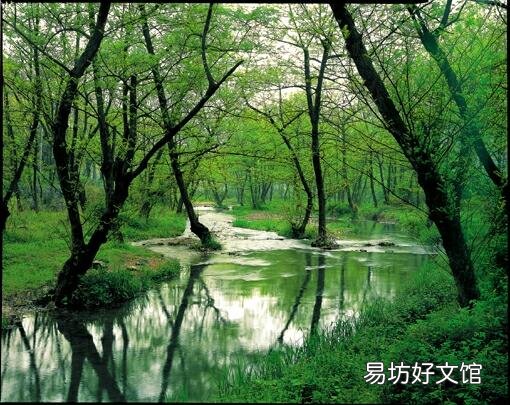 上联:清风无价何须买,下联怎么对?